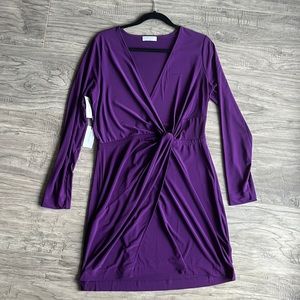 NWT Babaton Dress
